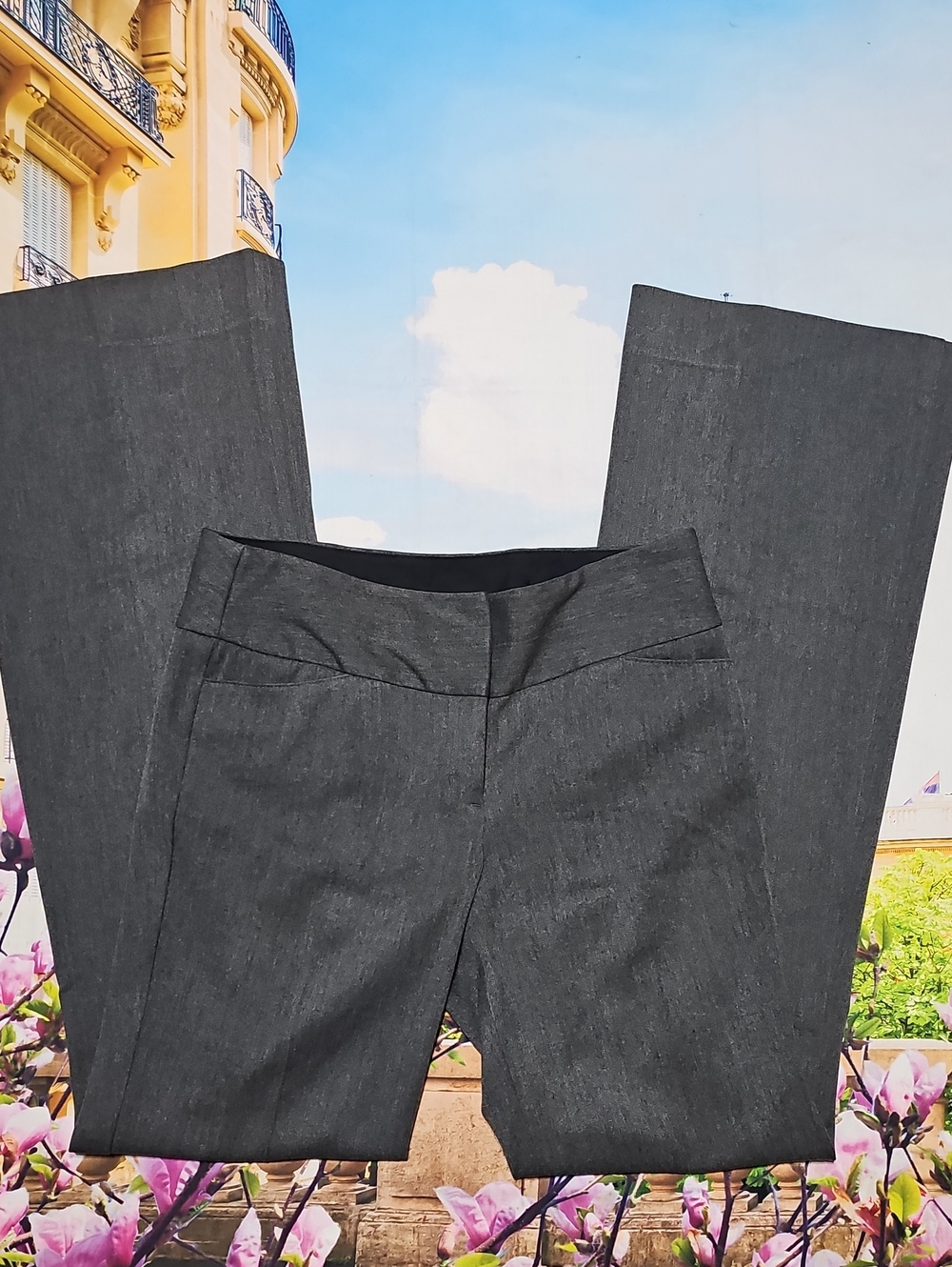 Express Editor Dark Charcoal Gray Flare Dress Pants Size 2L Tall